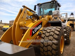 Payloder-Lovol-FL976H-1660 3